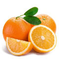 2021 Citrus Ready Export Premium New Crop Navel Orange